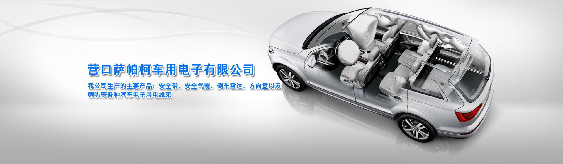 營口薩帕柯車用電子有限公司